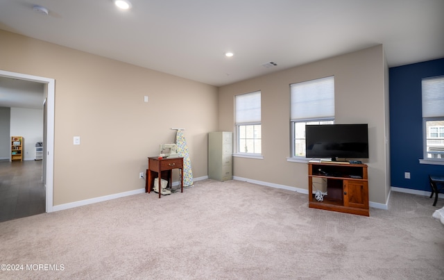 carpeted living room with a wealth of natural light