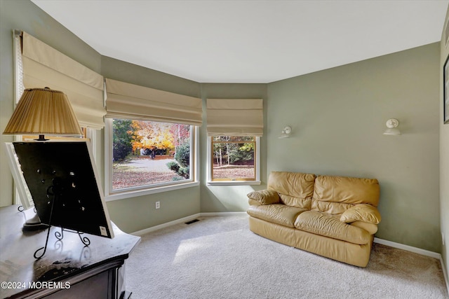 living area featuring carpet floors