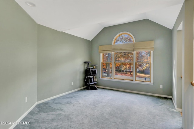 carpeted spare room featuring vaulted ceiling and a wealth of natural light