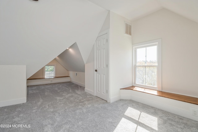 additional living space with light carpet and plenty of natural light