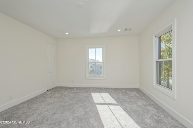 carpeted spare room featuring a wealth of natural light