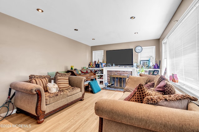 living room with a fireplace and hardwood / wood-style flooring