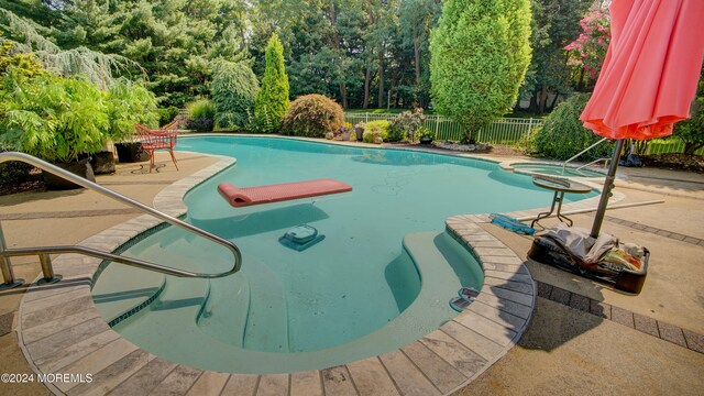 view of pool with a patio area and an in ground hot tub