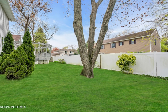 view of yard featuring a wooden deck