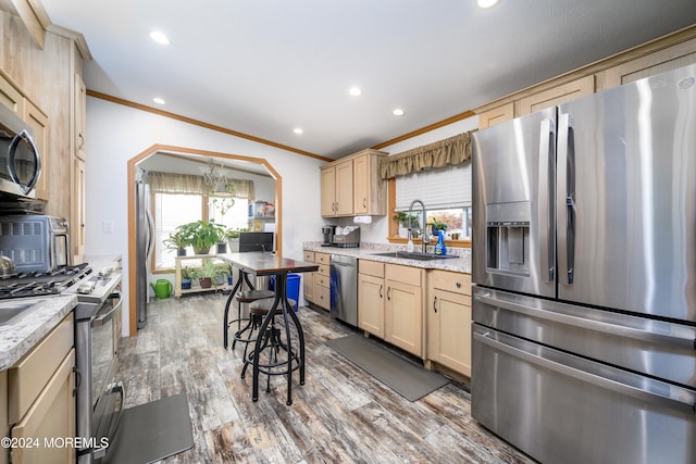 kitchen with appliances with stainless steel finishes, hardwood / wood-style flooring, sink, and plenty of natural light