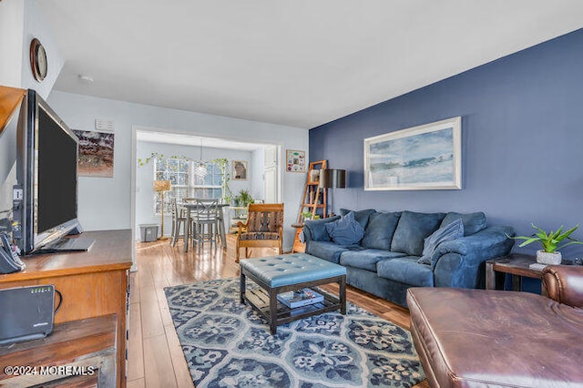 living room with hardwood / wood-style flooring