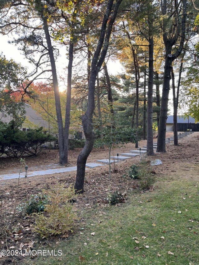 8A Fallbrook St, Whiting, NJ 08759 - view of yard