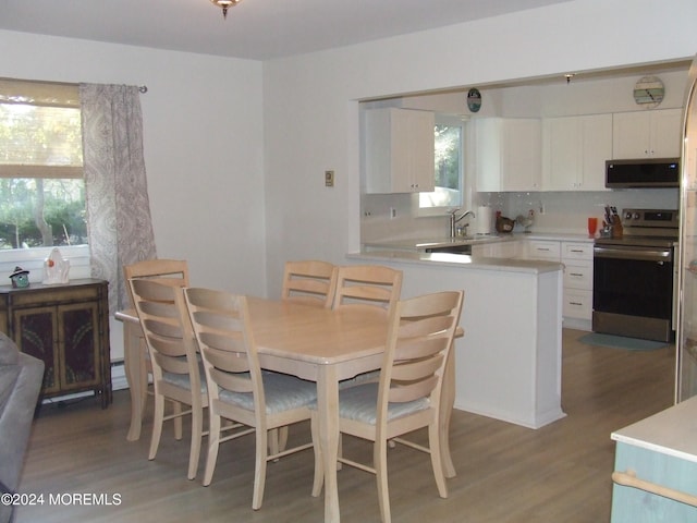 dining area featuring sink, wood-type flooring, and plenty of natural light