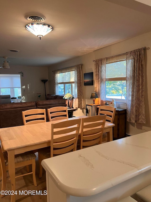 dining area with plenty of natural light