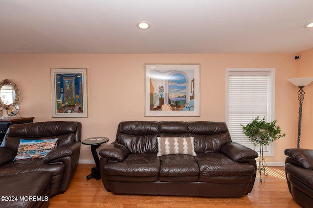 living room featuring light hardwood / wood-style floors