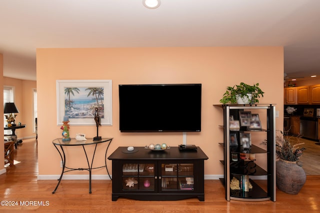 living room with light hardwood / wood-style flooring