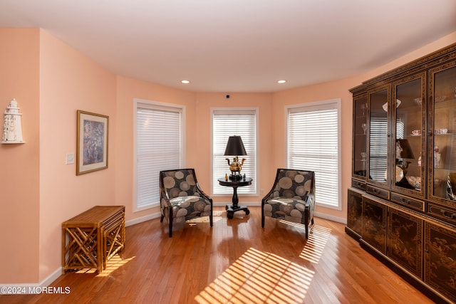 living area featuring light hardwood / wood-style floors and a wealth of natural light