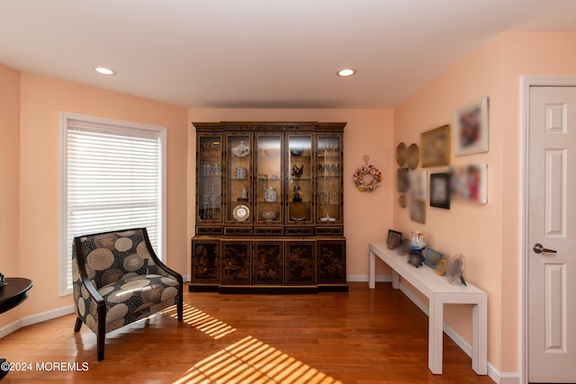 sitting room featuring dark wood-type flooring