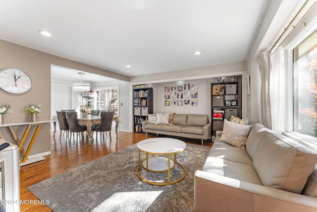 living room featuring wood-type flooring