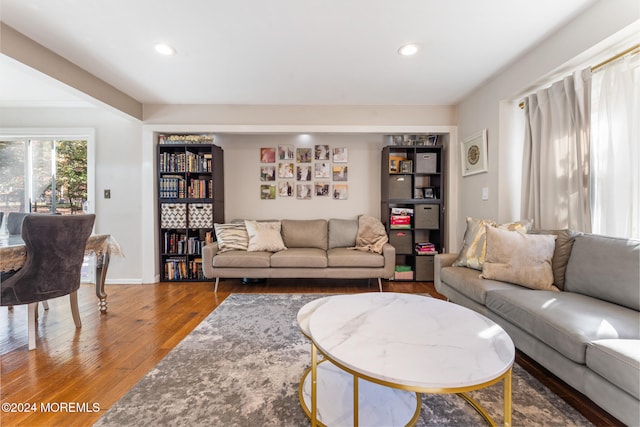 living room featuring wood-type flooring