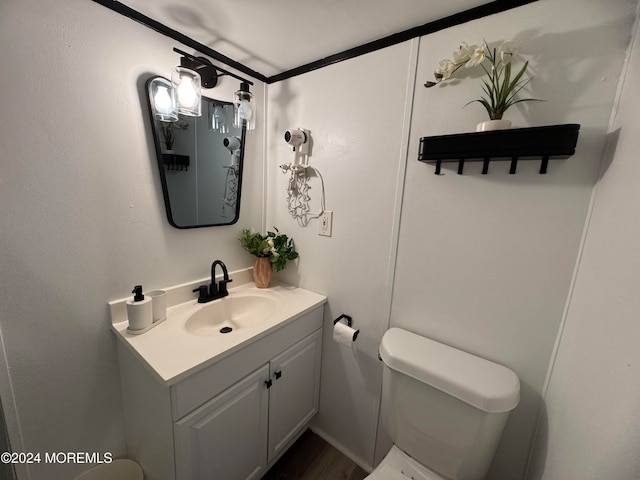 bathroom featuring vanity, toilet, and wood-type flooring