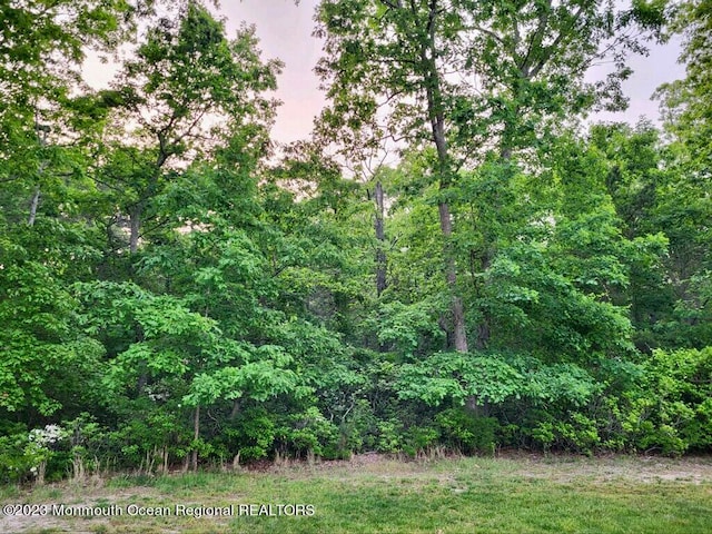 view of local wilderness