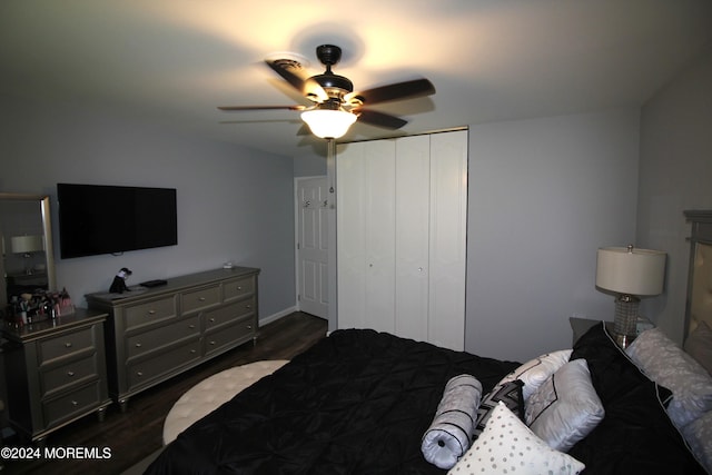 bedroom featuring ceiling fan, a closet, and dark wood-type flooring