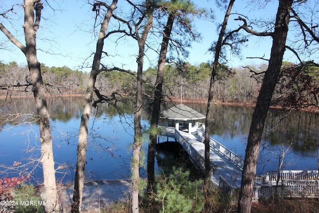 view of dock featuring a water view