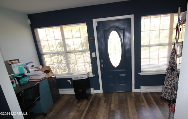 foyer entrance with a healthy amount of sunlight, dark hardwood / wood-style flooring, and baseboard heating