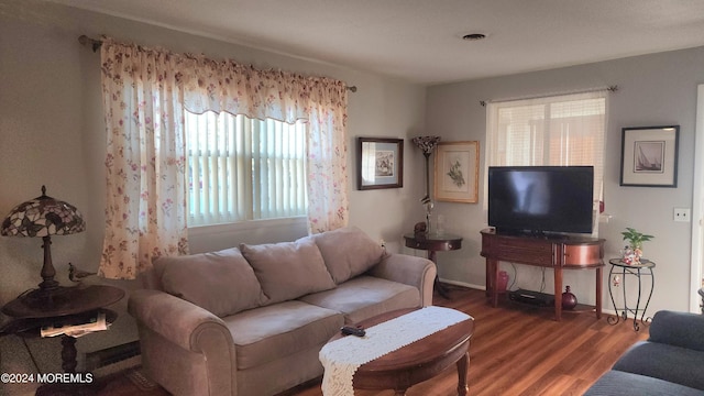 living room featuring hardwood / wood-style floors