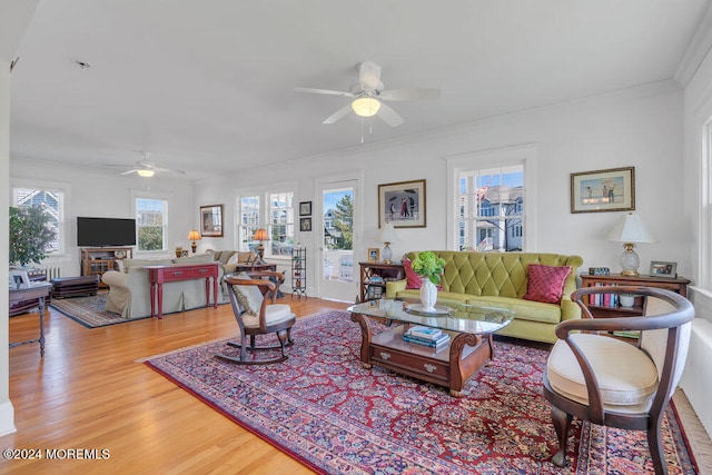 living room featuring light hardwood / wood-style floors, ceiling fan, and crown molding