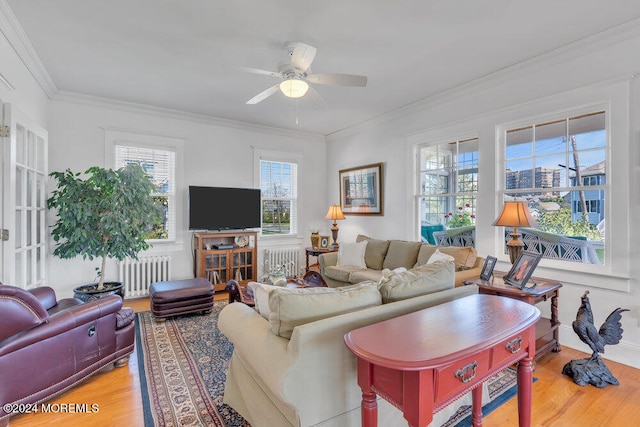 living room with hardwood / wood-style floors, ceiling fan, radiator heating unit, and ornamental molding