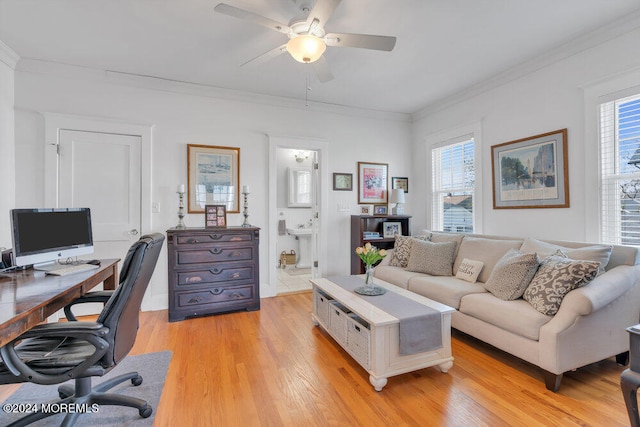 home office featuring light hardwood / wood-style floors, ceiling fan, and ornamental molding