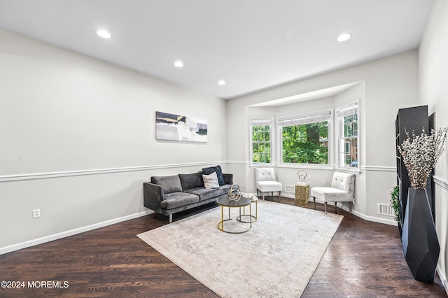 living room featuring dark wood-type flooring