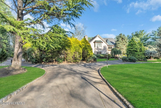 view of home's community featuring a lawn