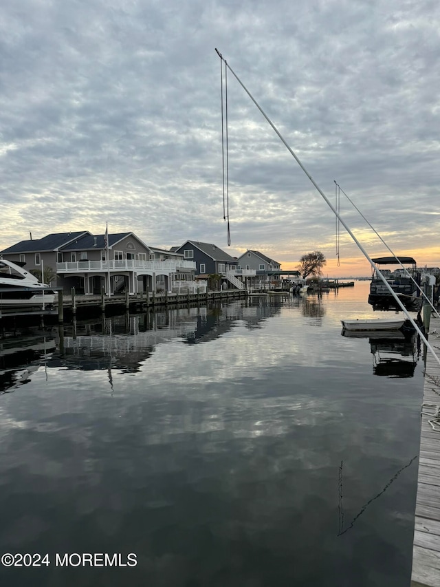 dock area with a water view