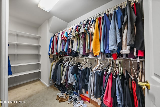 spacious closet with carpet floors