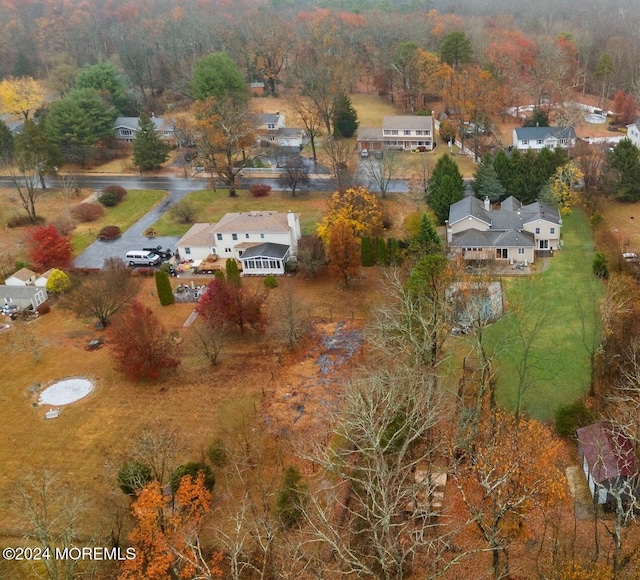 bird's eye view