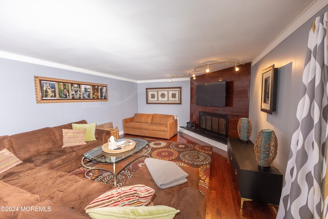 living room featuring hardwood / wood-style floors, rail lighting, a large fireplace, and crown molding