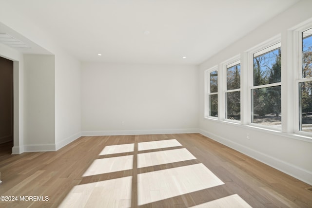 empty room with light hardwood / wood-style flooring and a wealth of natural light