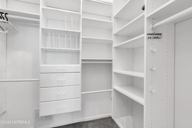 spacious closet featuring carpet floors