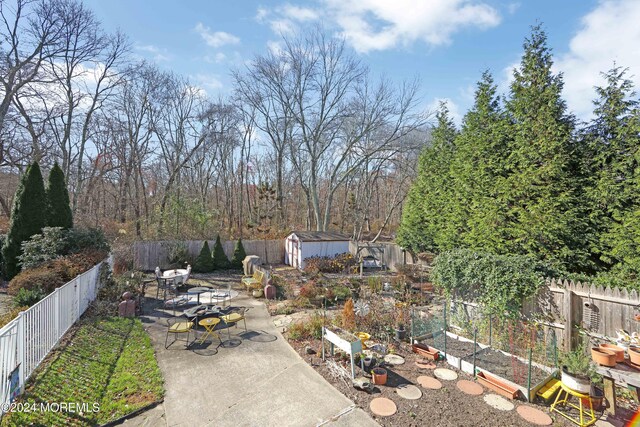 view of yard with a storage shed and a patio area