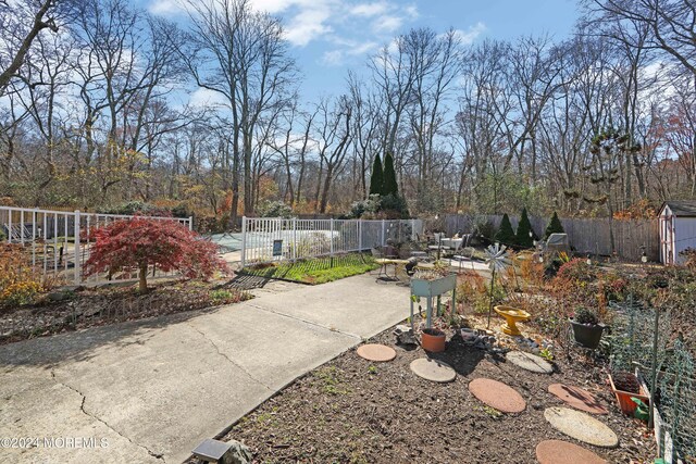 view of yard featuring a patio area