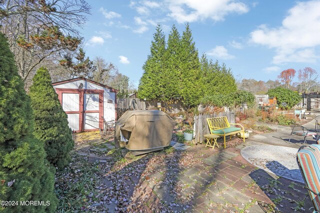 view of yard featuring a patio area and a storage unit