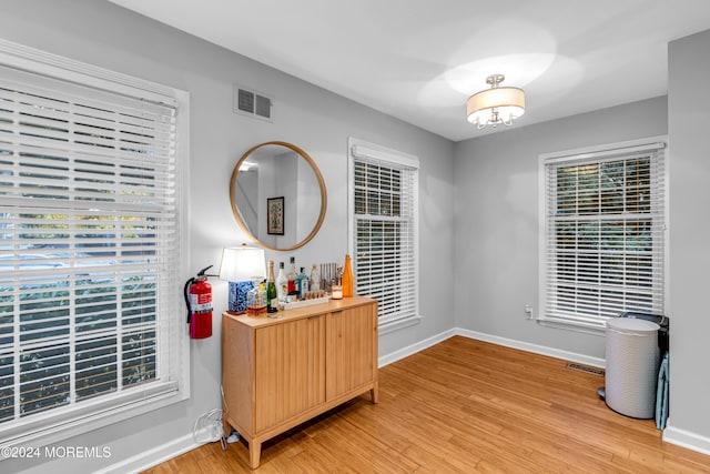 interior space with light hardwood / wood-style flooring and plenty of natural light