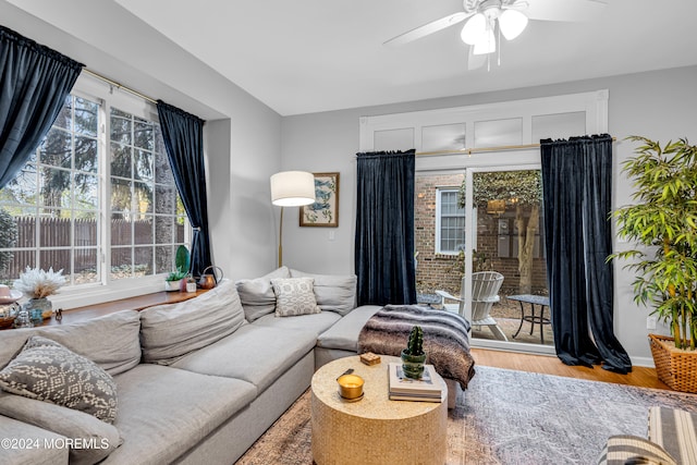 living room with hardwood / wood-style floors, ceiling fan, and a healthy amount of sunlight