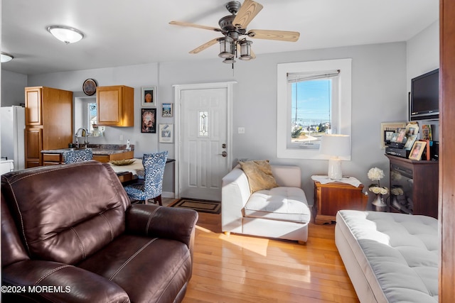 living room with ceiling fan, plenty of natural light, sink, and light wood-type flooring