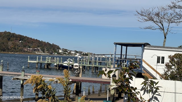 dock area with a water view