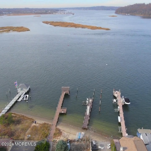 dock area featuring a water view