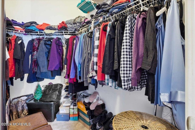 walk in closet with carpet floors