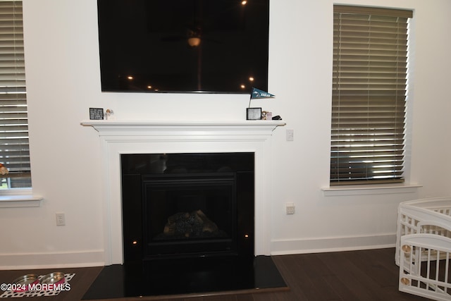 room details featuring wood-type flooring