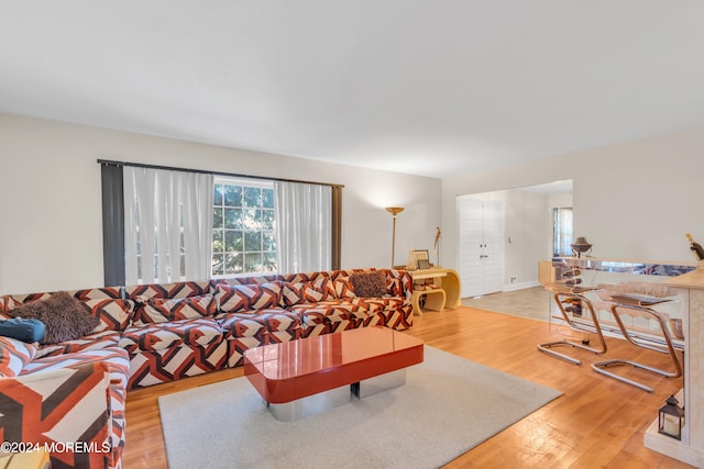 living room with hardwood / wood-style flooring