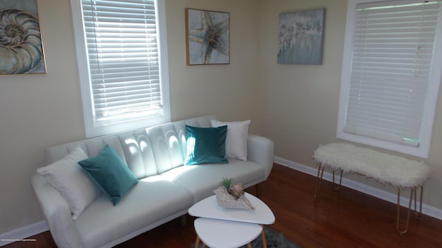 living room featuring dark hardwood / wood-style flooring and a wealth of natural light