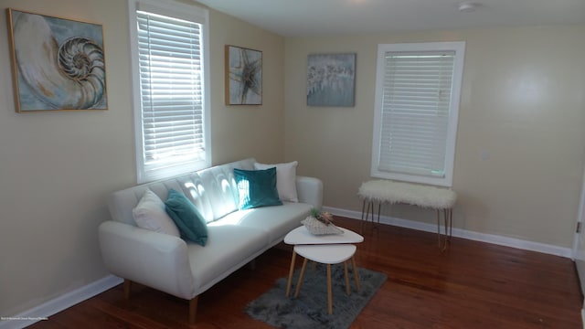 living area with dark hardwood / wood-style floors