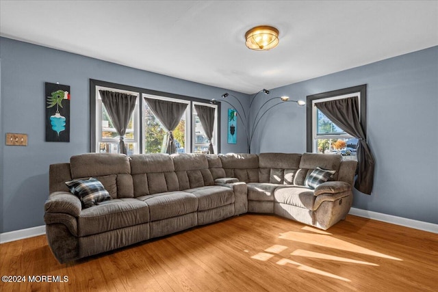 living room featuring a wealth of natural light and hardwood / wood-style flooring